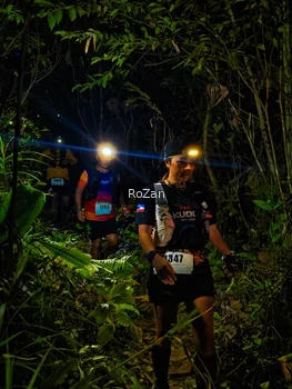 Runner Photo 2562500