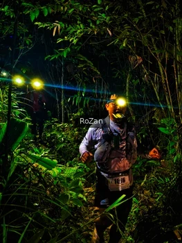 Runner Photo 2562572