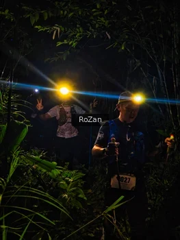 Runner Photo 2562592