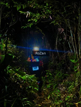Runner Photo 2562638