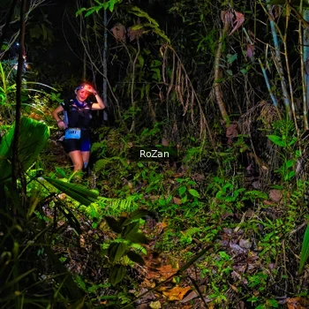 Runner Photo 2563188