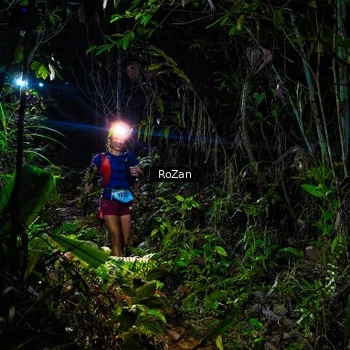 Runner Photo 2563741
