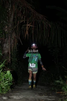 Runner Photo 2563940
