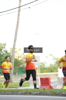 Runner Photo 2564643