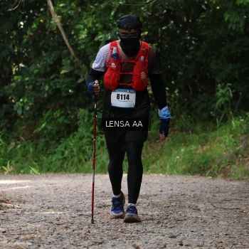 Runner Photo 2566881