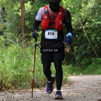 Runner Photo 2567196