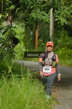Runner Photo 2578037