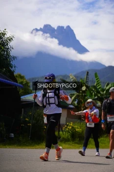 Runner Photo 2591754