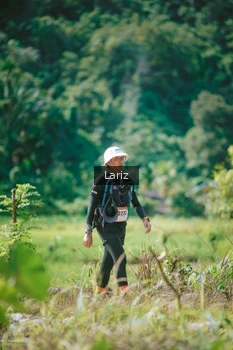 Runner Photo 2595167