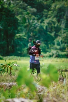 Runner Photo 2595264