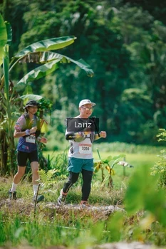 Runner Photo 2595581