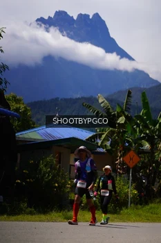 Runner Photo 2595910