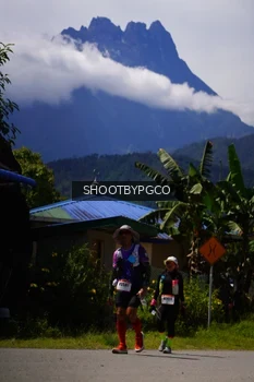 Runner Photo 2595925