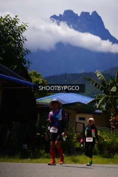 Runner Photo 2595942