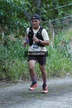 Runner Photo 2596148