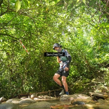 Runner Photo 2596675