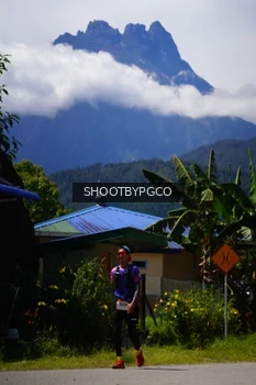 Runner Photo 2596916
