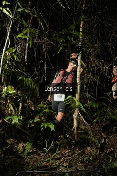 Runner Photo 2597937