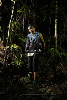 Runner Photo 2598035