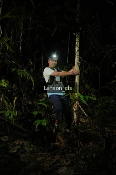 Runner Photo 2598697