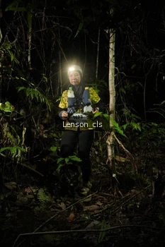 Runner Photo 2599116