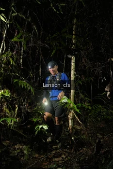 Runner Photo 2599216
