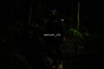 Runner Photo 2599270