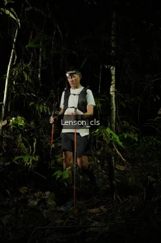 Runner Photo 2599304