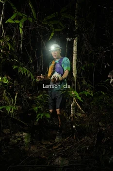 Runner Photo 2599636