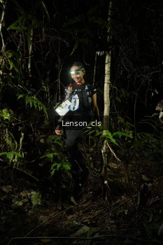 Runner Photo 2599677