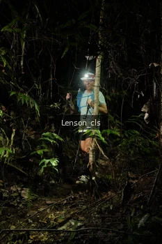 Runner Photo 2599753