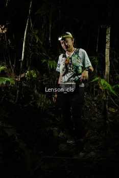 Runner Photo 2599781