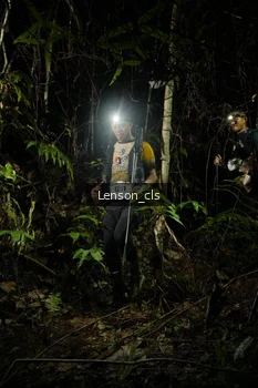 Runner Photo 2600063