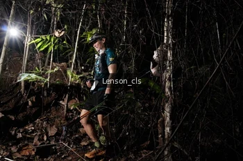Runner Photo 2600596