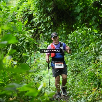 Runner Photo 2600845