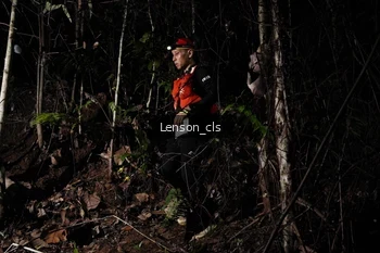 Runner Photo 2600871