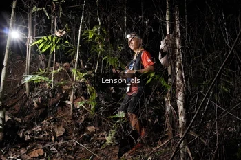 Runner Photo 2601109