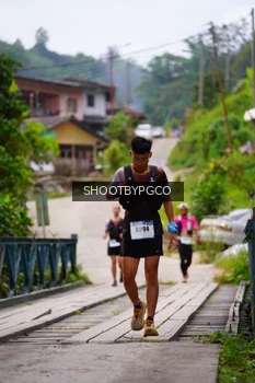 Runner Photo 2603874