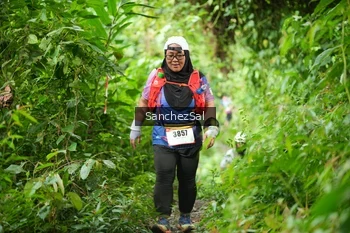 Runner Photo 2604989