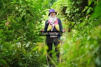 Runner Photo 2605124