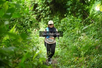 Runner Photo 2605204