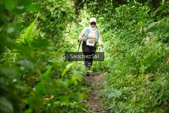 Runner Photo 2605216