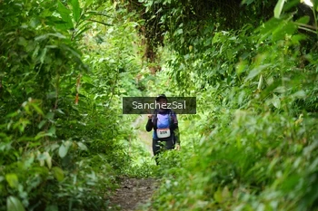 Runner Photo 2605224
