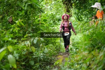 Runner Photo 2605354