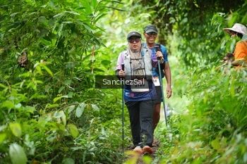 Runner Photo 2605366