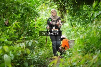 Runner Photo 2605399