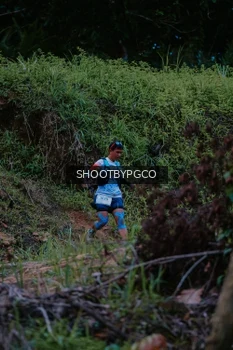 Runner Photo 2606186