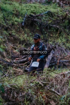 Runner Photo 2606240