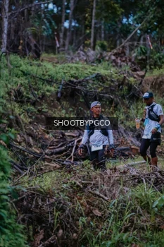 Runner Photo 2606256