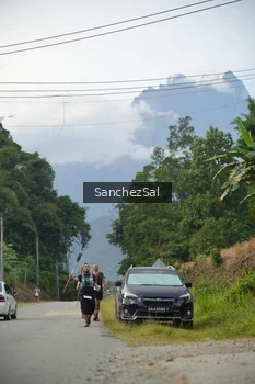 Runner Photo 2606385